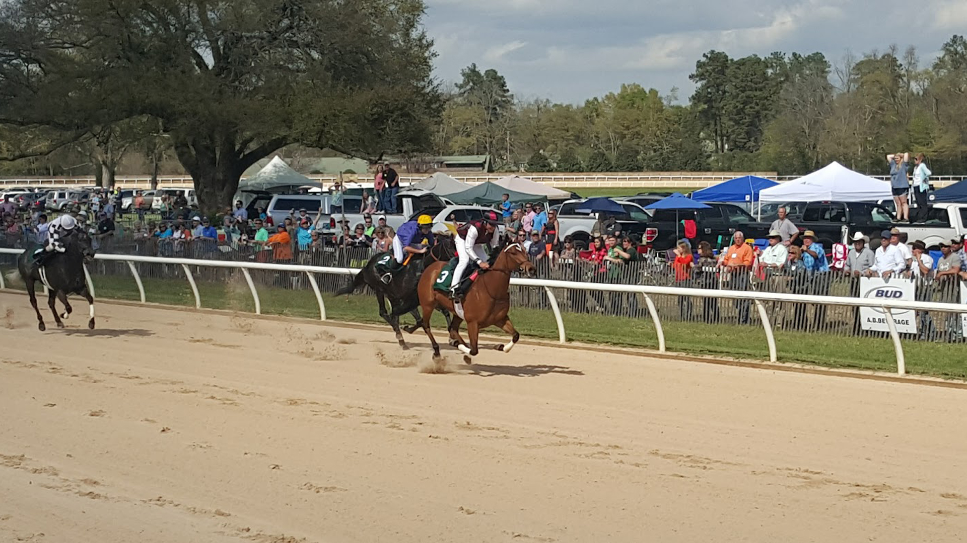 SCPRT horse racing