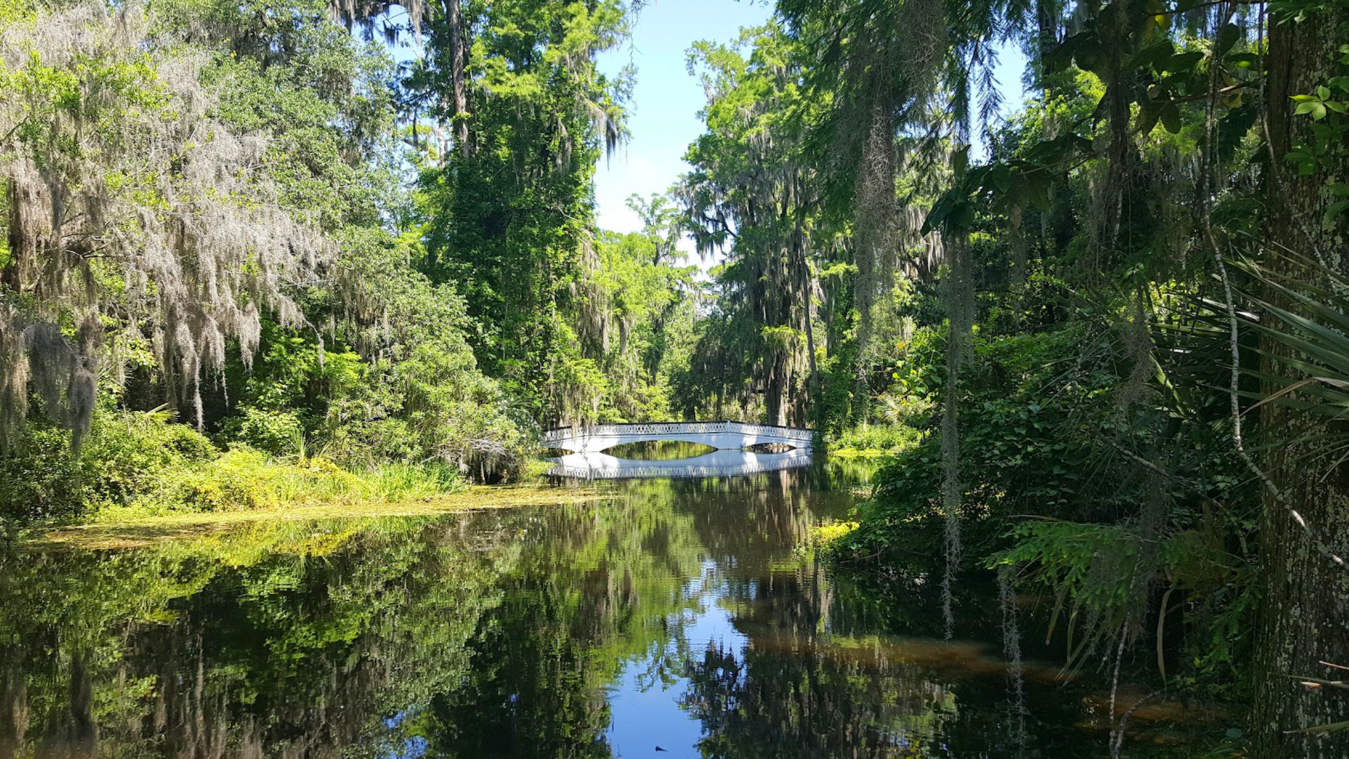 SCPRT Magnolia Plantation shoot